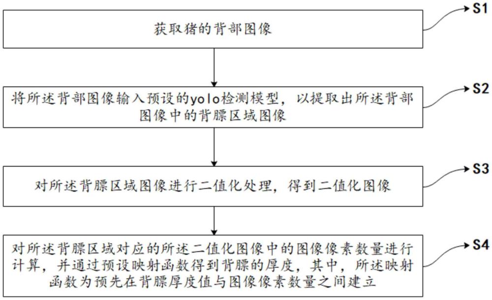 一種背膘厚度檢測方法及裝置與流程