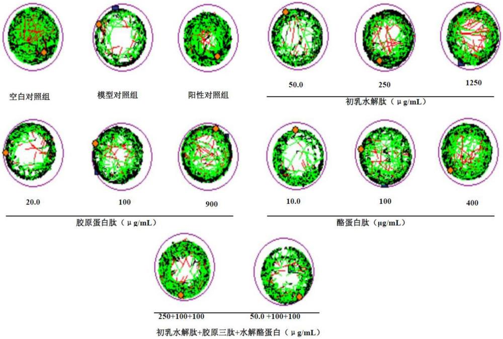 初乳肽組合物及其應(yīng)用的制作方法