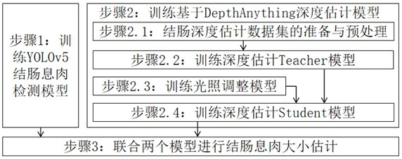 一种结肠镜下结肠息肉大小检测方法及系统