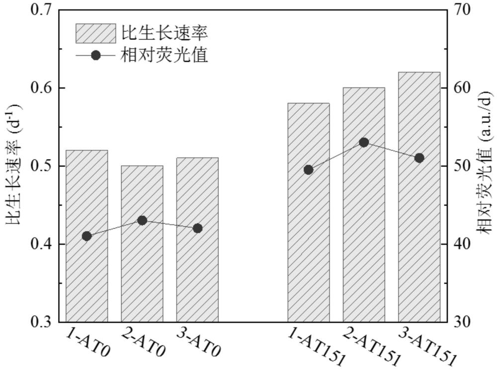 一種利用等離子體誘變能源微藻強(qiáng)化藻菌共生體系的方法