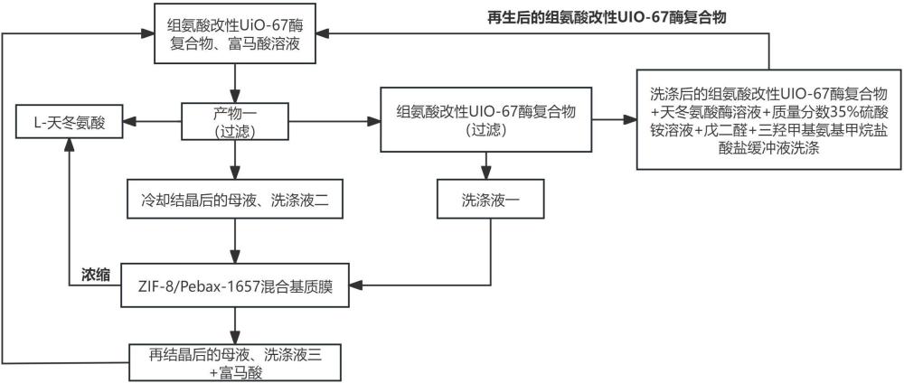 一種協同催化高穩(wěn)定L-天冬氨酸的制備方法與流程