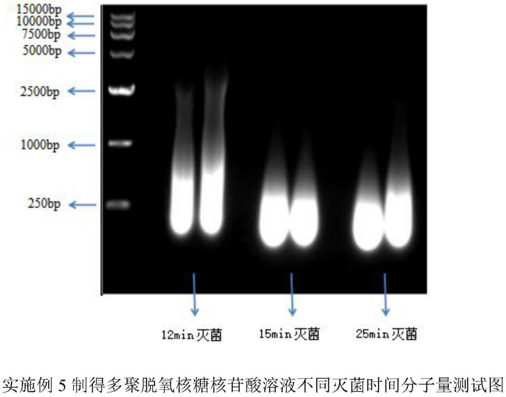 一種注射用多聚脫氧核糖核苷酸溶液及其制備方法與流程