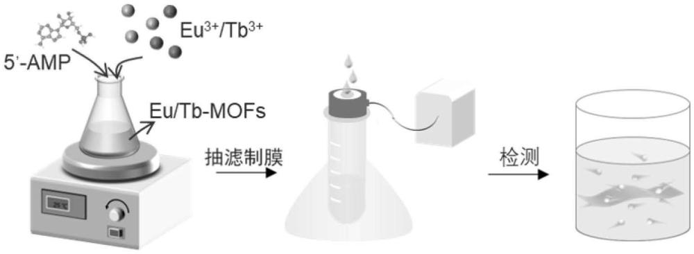 一種可靈敏檢測(cè)環(huán)丙沙星的熒光雙金屬M(fèi)OFs膜傳感器及方法