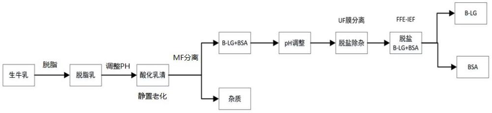 一種制備牛血清白蛋白的方法與流程