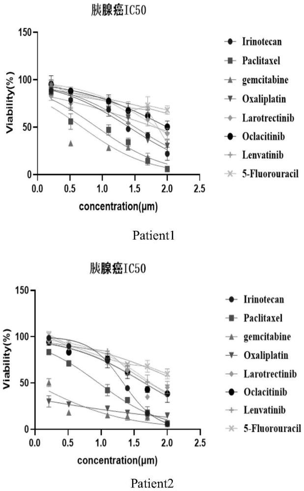 一種胰腺癌組織類(lèi)器官藥敏的檢測(cè)方法