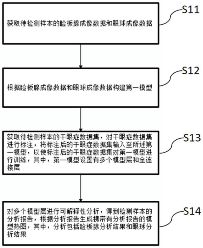 基于眼部特征的干眼症分级方法、装置、设备及介质与流程