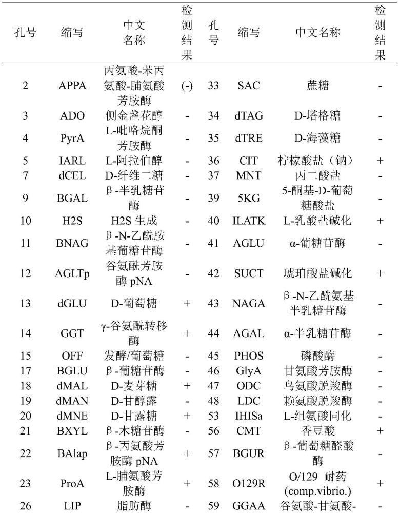 勞倫斯河口假單胞菌YX05及其在降解有機(jī)污染物中的應(yīng)用