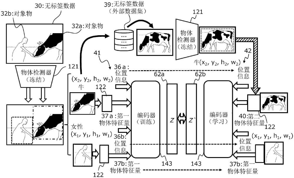 训练程序、训练方法以及信息处理装置与流程