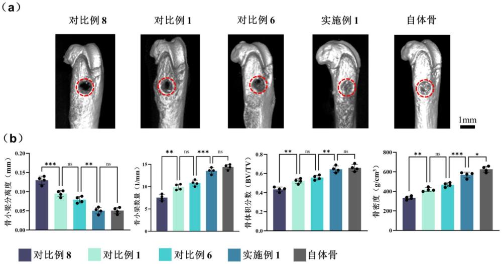 一種骨類器官及其構建方法與用途