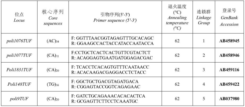 一種選育牙鲆克隆改良系的方法與流程