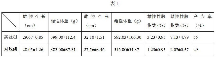 一種綠鰭?cǎi)R面鲀親魚培育的方法與流程