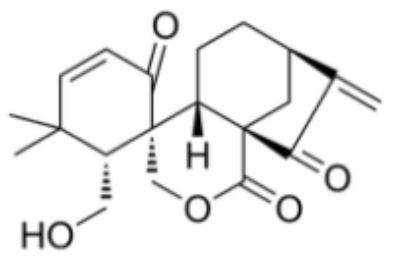 用于增加體外胚胎內(nèi)細(xì)胞團(tuán)細(xì)胞數(shù)的組合物及方法和應(yīng)用