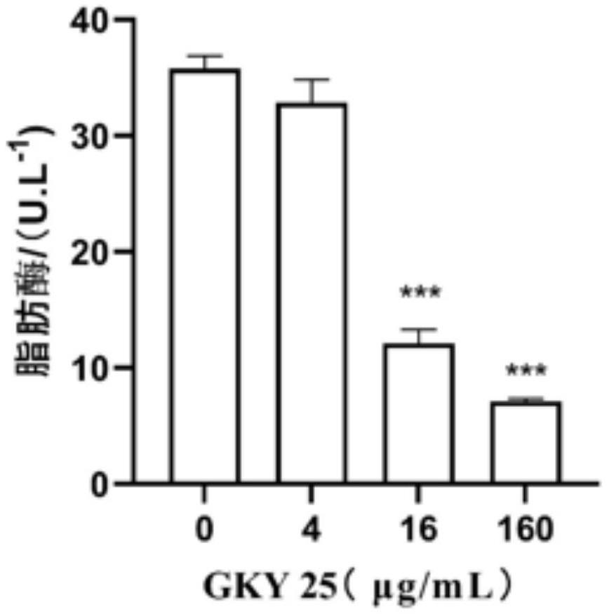 抗菌肽在制備抗痤瘡丙酸桿菌藥物中的應(yīng)用的制作方法