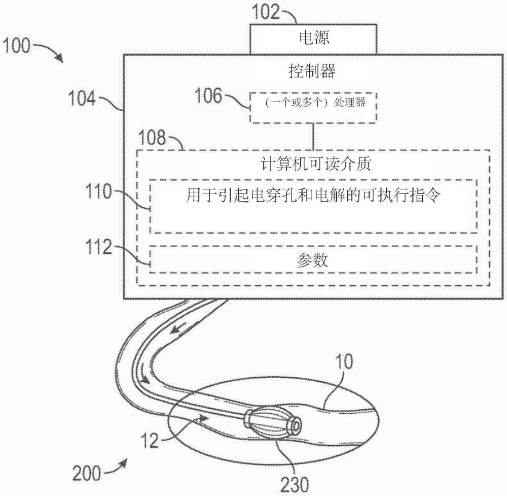 用于細(xì)胞外基質(zhì)保留的消融的透化和電解的制作方法