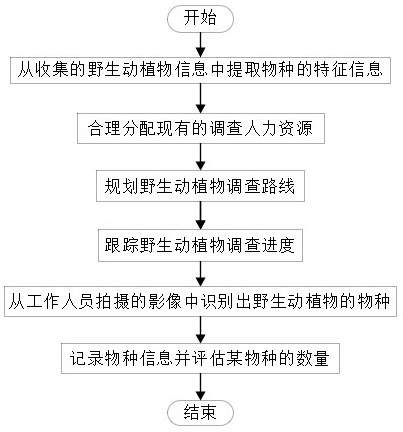 一種野生動植物識別調查系統(tǒng)與方法與流程