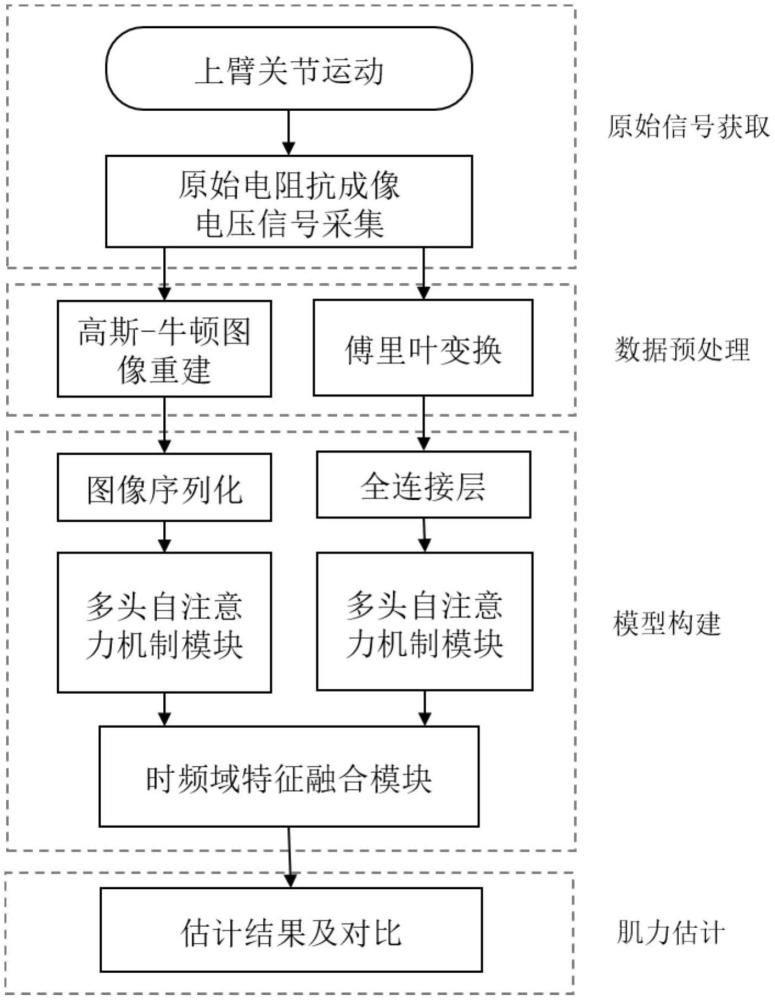 基于雙分支自注意力機(jī)制網(wǎng)絡(luò)的上臂肌力估計(jì)方法