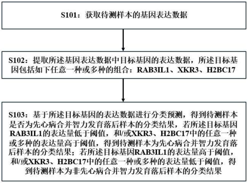 一种先心病合并智力发育落后的预测方法、系统、电子设备及存储介质与流程