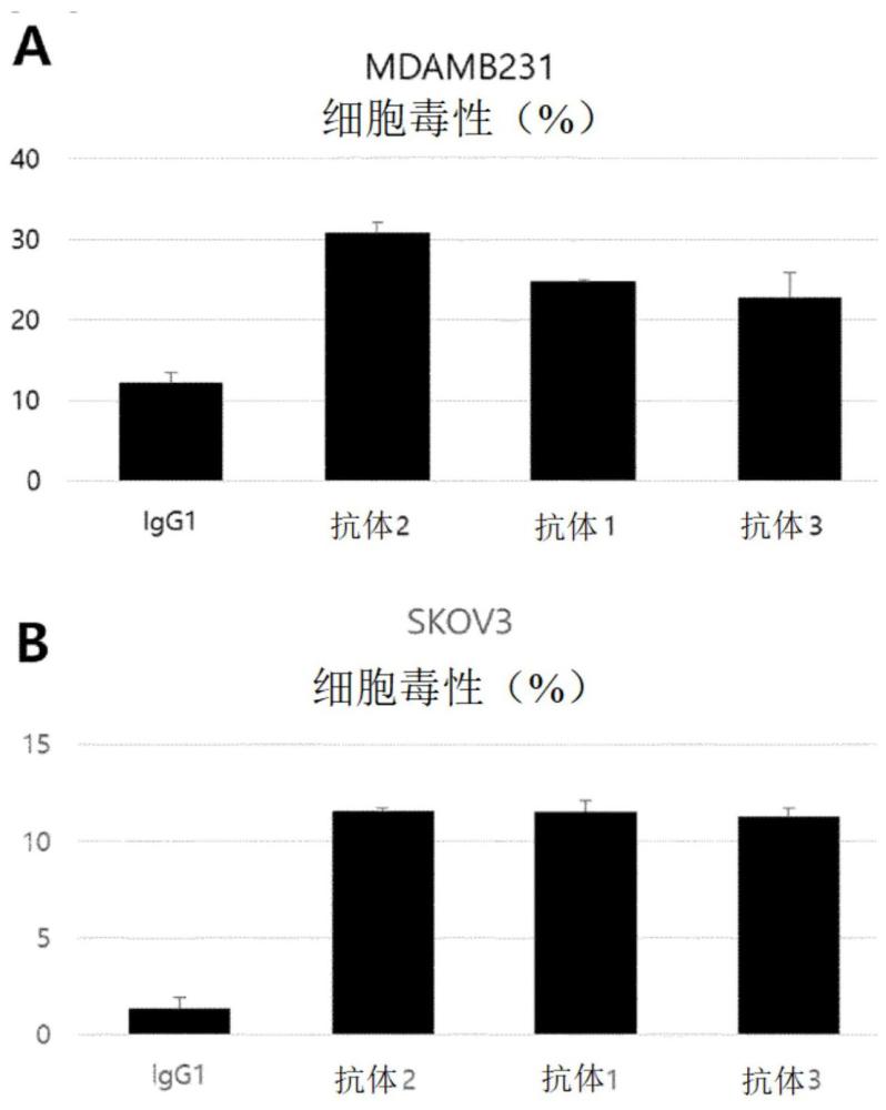 HLA-G特異性抗體及其用途的制作方法