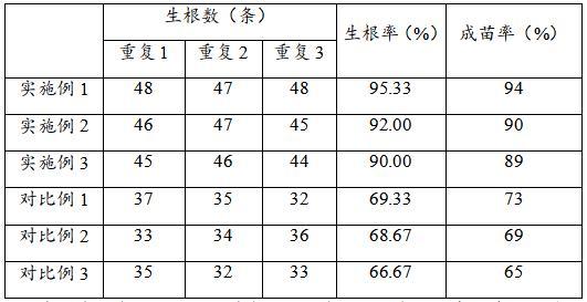 一種映山紅優(yōu)質(zhì)種苗快速繁殖方法與流程