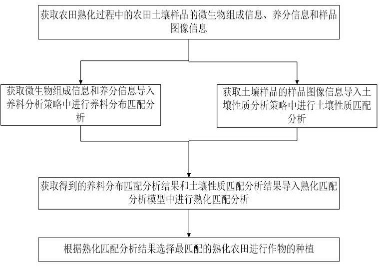 基于大數(shù)據(jù)分析的農(nóng)田土壤熟化效果分析系統(tǒng)及方法與流程