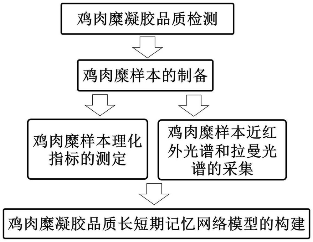 一種超聲處理下肉糜凝膠品質(zhì)的融合光譜檢測(cè)方法