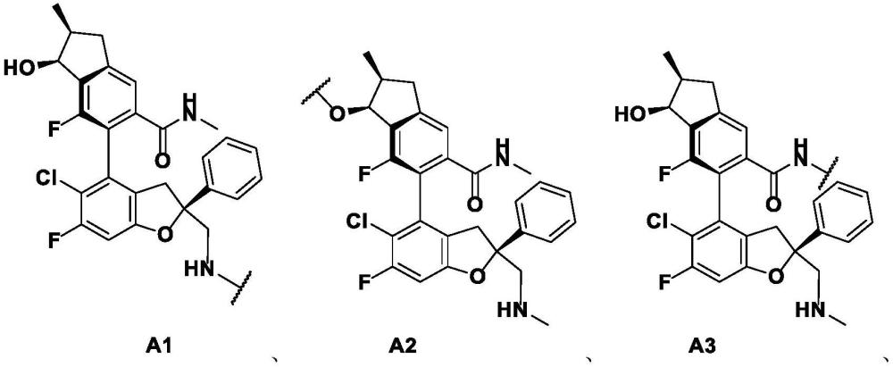 一種綴合物、其藥物組合物及其應(yīng)用的制作方法