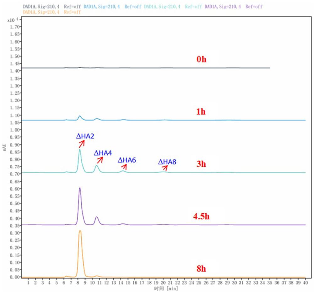 一種利用全細(xì)胞催化技術(shù)制備低分子透明質(zhì)酸寡糖的方法