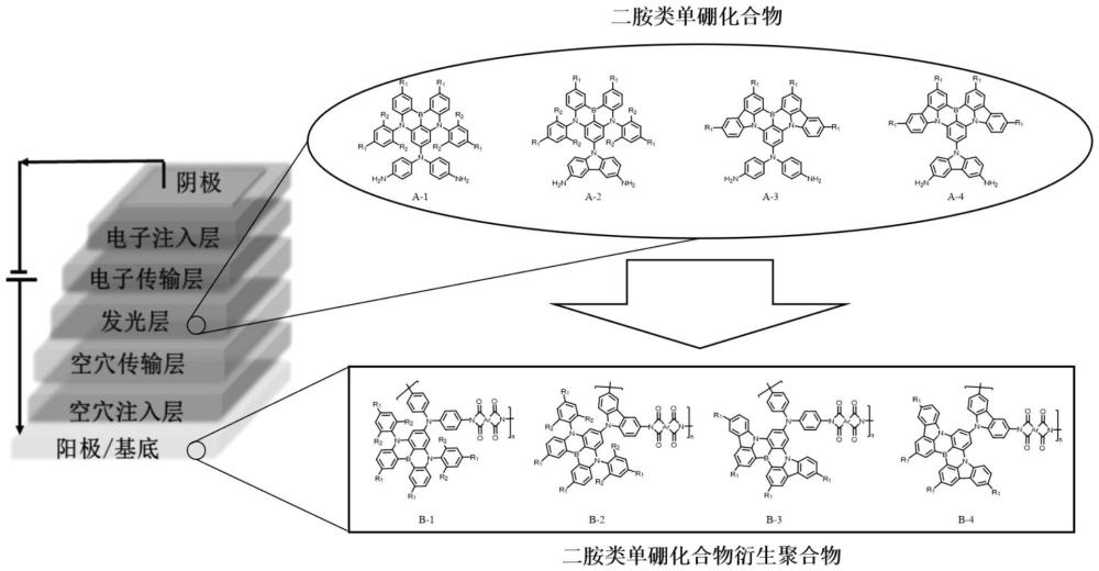 一類二胺類單硼化合物與其衍生聚合物以及它們在OLED領(lǐng)域的應(yīng)用