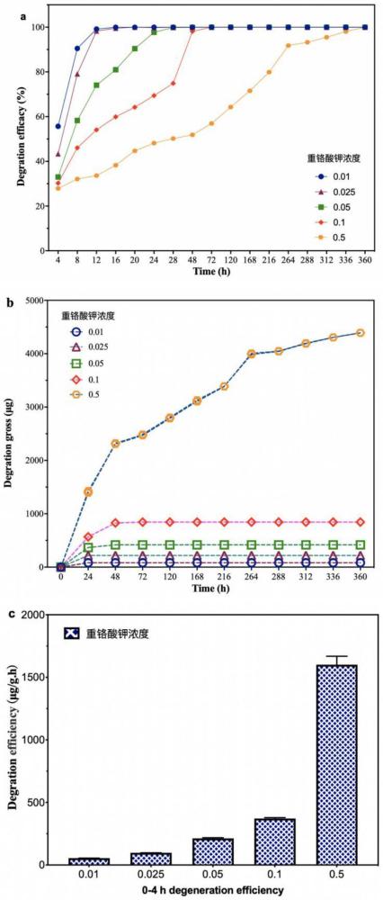 一種裂褶菌15-5-F01在治理含有六價(jià)鉻鹽污染廢水中的應(yīng)用