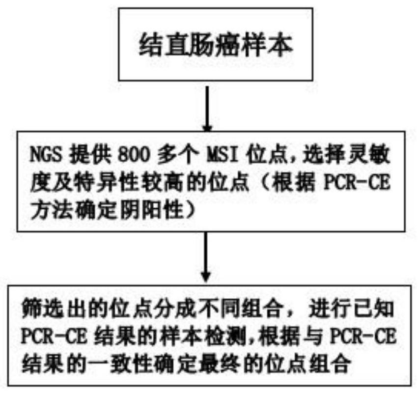 一种检测人微卫星不稳定性的生物标志物及其应用的制作方法