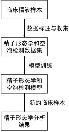 一种基于深度学习的精子形态学分析方法与流程