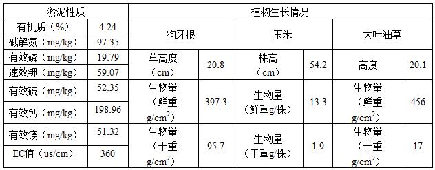 航道疏挖淤泥复配绿化种植土及其应用的制作方法