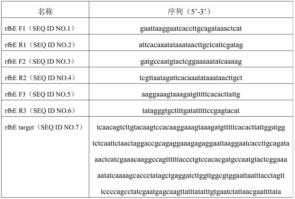 基于RPA-CRISPR/Cas12a大肠杆菌检测试剂盒