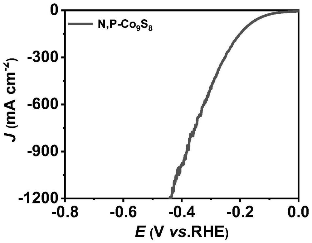 一种N、P共掺杂Co9S8一体式水分解电催化剂及其制备方法和应用