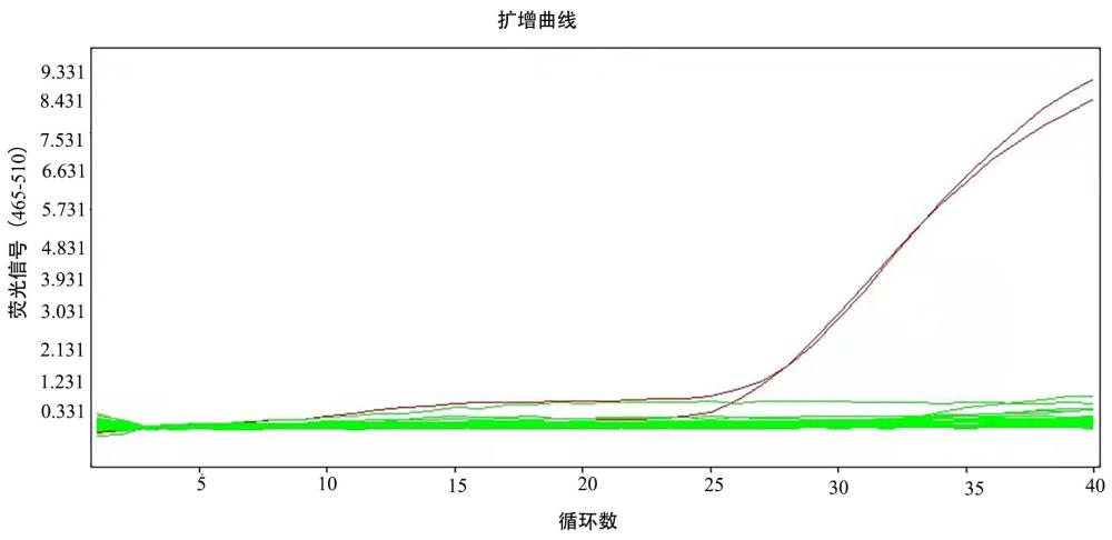 基于探针法的长江上游放流长江鲟行为轨迹追踪试剂盒及追踪方法与流程