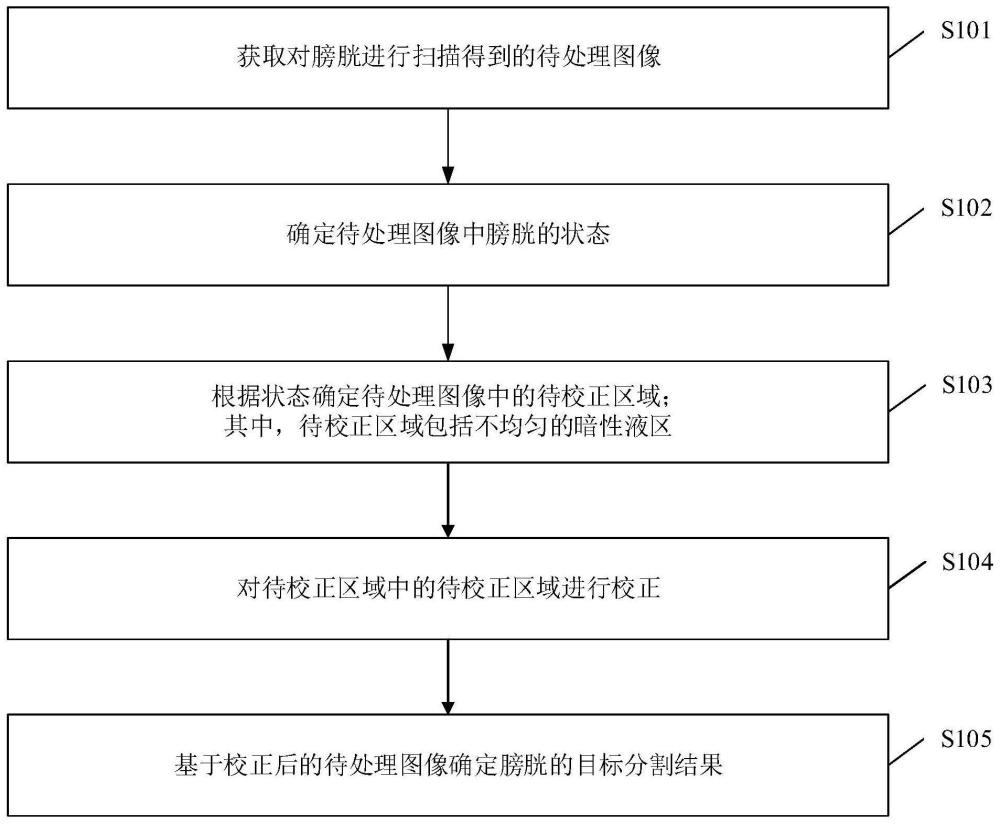 膀胱图像分割方法、膀胱测量方法、系统及存储介质与流程