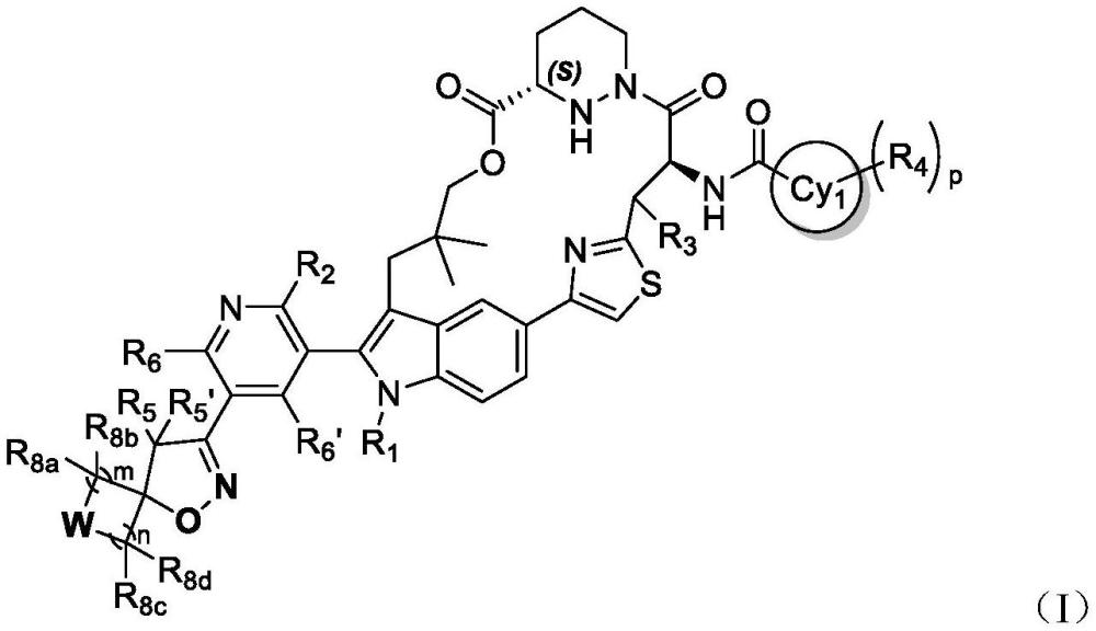一种pan-KRAS抑制剂化合物的制作方法