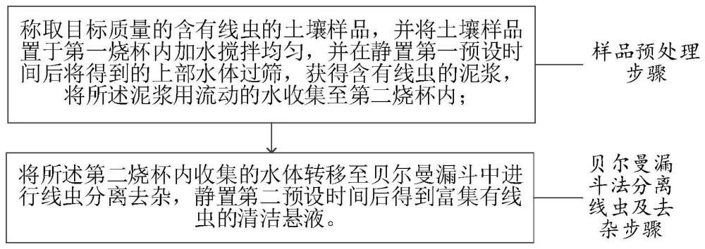 用于DNA提取前活体土壤线虫悬液的富集方法