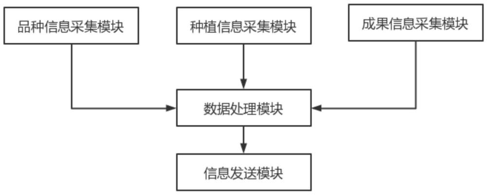 一种用于葡萄品质识别的筛选把控系统的制作方法