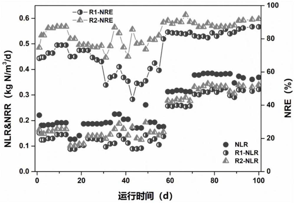 一种原位快速强化自养脱氮工艺中总氮去除性能的方法