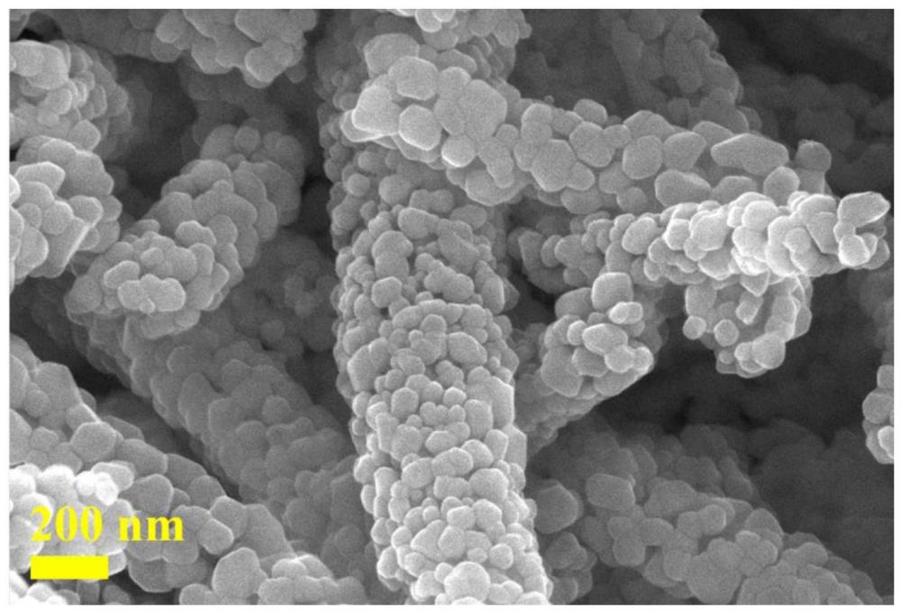 一种锂硫电池用多孔碳纳米纤维薄膜及其制备方法和应用