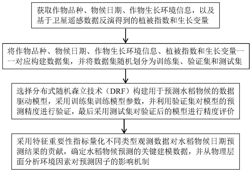 一种数据驱动的可解释性水稻物候预测方法