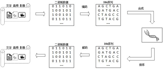 一种基于混沌映射控制GC含量的双规则编码DNA存储方法