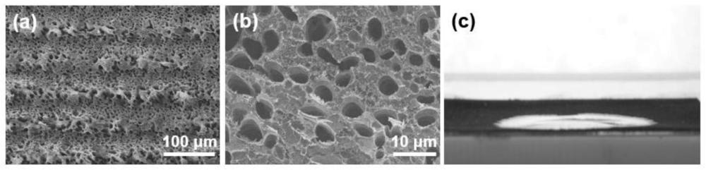 银纳米颗粒/多孔石墨烯电磁屏蔽材料及其制备与应用的制作方法
