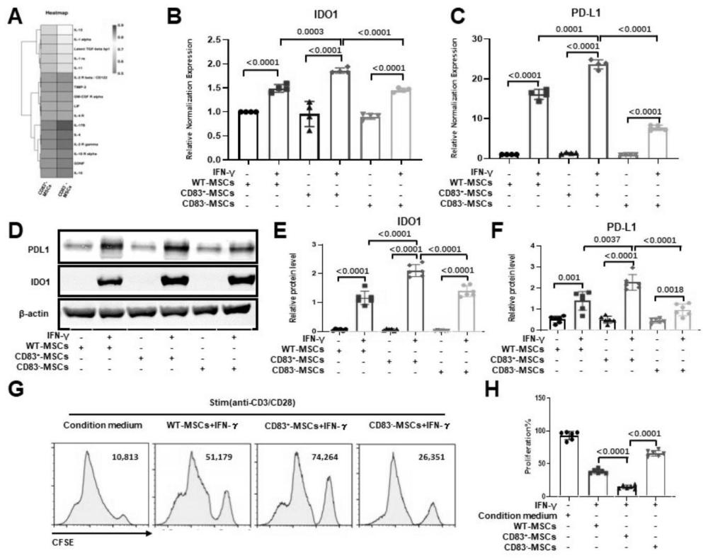 CD83+、CD83+PD-L1+间充质干细胞及其制备方法和应用与流程