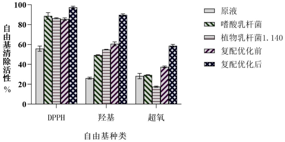 一种促进头皮健康的微生物转化人参发酵液及其制备方法与应用与流程