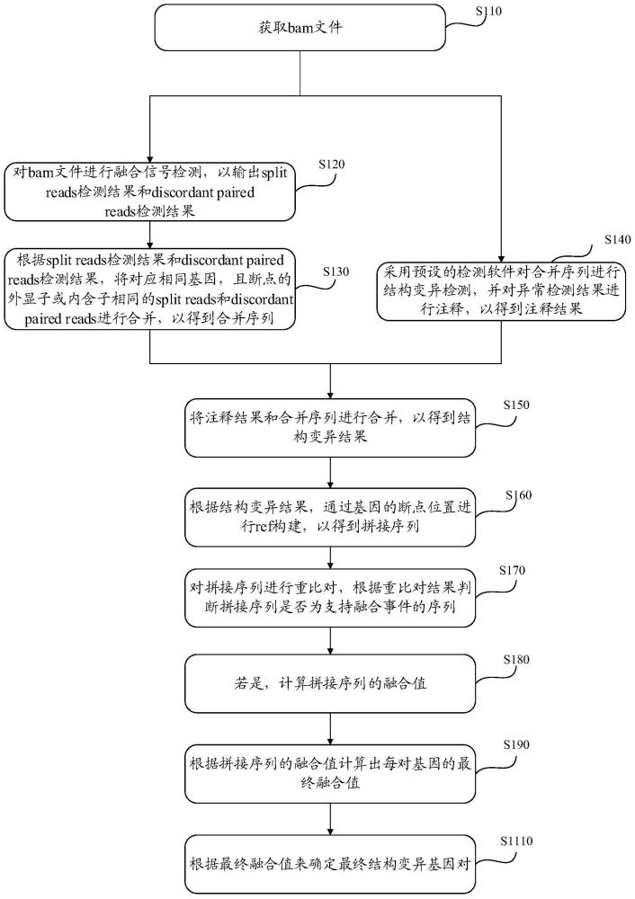 基因变异检测方法、装置、终端设备和可读存储介质与流程