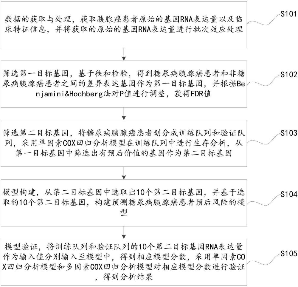 一种预测糖尿病胰腺癌患者预后风险的模型及建立方法