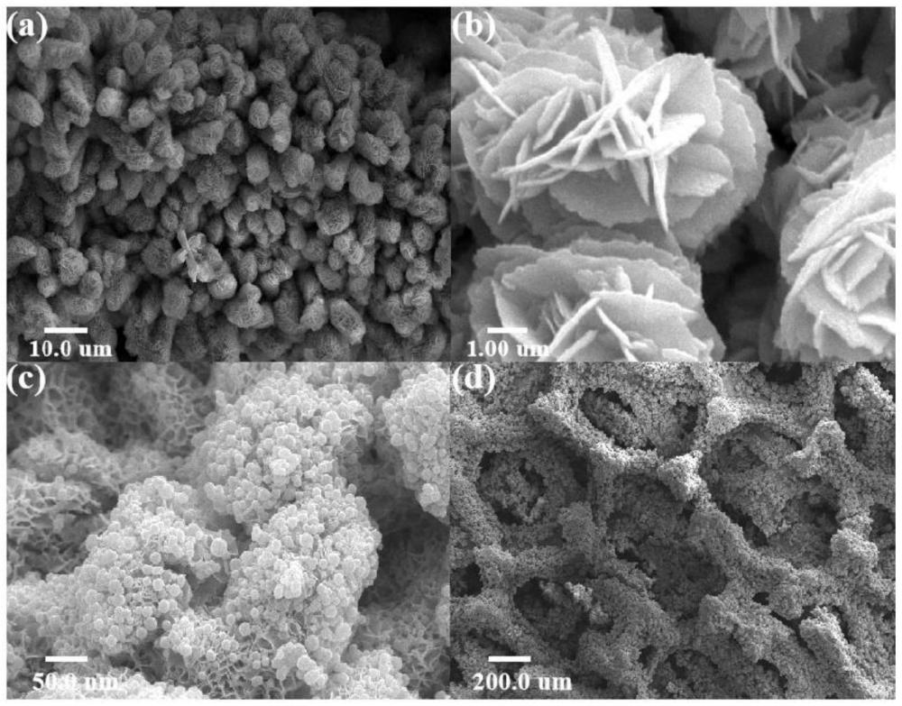 一种氮磷掺杂钴钼氧化物/泡沫钴纳米阵列电极材料及其制备方法和应用