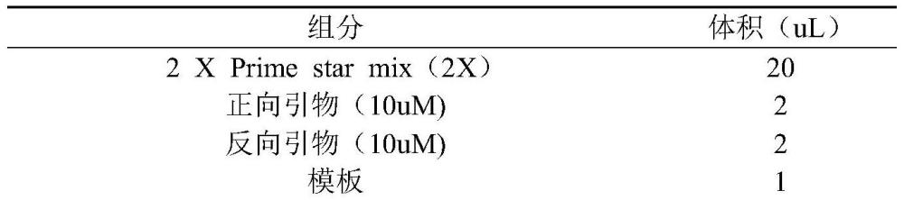 一种高产己二胺基因工程菌株及其构建方法与运用